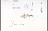  ( - 48501HIM)  @11 [ ] CreativeCommons - Attribution Non-Commercial Share-Alike (2012) University of Guelph, Canada OAC-BIO Herbarium