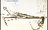  ( - 49828HIM)  @11 [ ] CreativeCommons - Attribution Non-Commercial Share-Alike (2012) University of Guelph, Canada OAC-BIO Herbarium