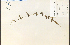  ( - 54424HIM)  @11 [ ] CreativeCommons - Attribution Non-Commercial Share-Alike (2012) University of Guelph, Canada OAC-BIO Herbarium