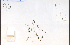  ( - 76372HIM)  @11 [ ] CreativeCommons - Attribution Non-Commercial Share-Alike (2012) University of Guelph, Canada OAC-BIO Herbarium