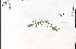  ( - 79090HIM)  @11 [ ] CreativeCommons - Attribution Non-Commercial Share-Alike (2012) University of Guelph, Canada OAC-BIO Herbarium