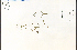  ( - 79091HIM)  @11 [ ] CreativeCommons - Attribution Non-Commercial Share-Alike (2012) University of Guelph, Canada OAC-BIO Herbarium