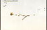  ( - 79187HIM)  @11 [ ] CreativeCommons - Attribution Non-Commercial Share-Alike (2012) University of Guelph, Canada OAC-BIO Herbarium