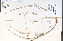  ( - 81192HIM)  @11 [ ] CreativeCommons - Attribution Non-Commercial Share-Alike (2012) University of Guelph, Canada OAC-BIO Herbarium