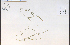  ( - 85548HIM)  @11 [ ] CreativeCommons - Attribution Non-Commercial Share-Alike (2012) University of Guelph, Canada OAC-BIO Herbarium
