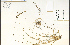  ( - 85981HIM)  @11 [ ] CreativeCommons - Attribution Non-Commercial Share-Alike (2012) University of Guelph, Canada OAC-BIO Herbarium