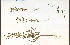  ( - 51711HIM)  @11 [ ] CreativeCommons - Attribution Non-Commercial Share-Alike (2012) University of Guelph, Canada OAC-BIO Herbarium