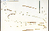  ( - 86857HIM)  @11 [ ] CreativeCommons - Attribution Non-Commercial Share-Alike (2012) University of Guelph, Canada OAC-BIO Herbarium