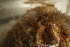  ( - HYDROINS_366)  @11 [ ] Creative Commons Attribution-NonCommercial-ShareAlike (2025) Doris Björling University of Gothenburg