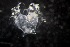  ( - HYDROINS_462)  @11 [ ] Unspecified (default): All Rights Reserved (2025) Doris Björling University of Gothenburg