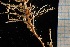  ( - HYDROINS_468)  @11 [ ] Unspecified (default): All Rights Reserved (2025) Doris Björling University of Gothenburg