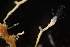 ( - HYDROINS_470)  @11 [ ] Unspecified (default): All Rights Reserved (2025) Doris Björling University of Gothenburg