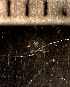  ( - HYDROINS_590)  @11 [ ] CreativeCommons  Attribution Non-Commercial Share-Alike (2025) Doris Bjorling University of Gothenburg