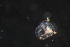  ( - HYDROINS_636)  @11 [ ] Unspecified (default): All Rights Reserved (2025) Doris Bjorling University of Gothenburg
