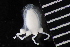  ( - HYDROINS_643)  @11 [ ] Unspecified (default): All Rights Reserved (2025) Doris Bjorling University of Gothenburg