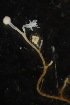  ( - HYDROINS_703)  @11 [ ] Unspecified (default): All Rights Reserved (2025) Doris Bjorling University of Gothenburg