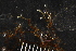 ( - HYDROINS_712)  @11 [ ] Unspecified (default): All Rights Reserved (2025) Doris Bjorling University of Gothenburg