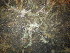  ( - HYDROINS_715)  @11 [ ] Unspecified (default): All Rights Reserved (2025) Doris Bjorling University of Gothenburg