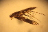  ( - 1000-107)  @12 [ ] CreativeCommons - Attribution Non-Commercial Share-Alike (2013) R. Nakadai Chiba University
