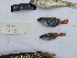 ( - HP3172)  @11 [ ] CreativeCommons  Attribution Non-Commercial (2018) Unspecified Royal Museum for Central Africa
