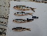  ( - HP3476)  @11 [ ] CreativeCommons  Attribution Non-Commercial (2019) Unspecified Royal Museum for Central Africa