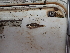  ( - HP3675)  @11 [ ] CreativeCommons  Attribution Non-Commercial (2019) Unspecified Royal Museum for Central Africa