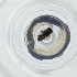  ( - HIRW_040_B2)  @11 [ ] by  Genome Research Ltd as Wellcome Sanger Institute Genome Research Limited operating as Wellcome Sanger Institute