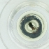  ( - HIRW_041_F5)  @11 [ ] by  Genome Research Ltd as Wellcome Sanger Institute Genome Research Limited operating as Wellcome Sanger Institute