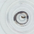  ( - HIRW_041_F8)  @11 [ ] by  Genome Research Ltd as Wellcome Sanger Institute Genome Research Limited operating as Wellcome Sanger Institute