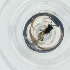  ( - HIRW_042_D2)  @11 [ ] by  Genome Research Ltd as Wellcome Sanger Institute Genome Research Limited operating as Wellcome Sanger Institute