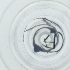  ( - HIRW_045_D6)  @11 [ ] by  Genome Research Ltd as Wellcome Sanger Institute Genome Research Limited operating as Wellcome Sanger Institute