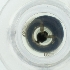  ( - HIRW_046_D1)  @11 [ ] by  Genome Research Ltd as Wellcome Sanger Institute Genome Research Limited operating as Wellcome Sanger Institute