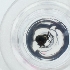  ( - HIRW_049_F10)  @11 [ ] by  Genome Research Ltd as Wellcome Sanger Institute Genome Research Limited operating as Wellcome Sanger Institute