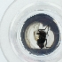  ( - HIRW_049_F9)  @11 [ ] by  Genome Research Ltd as Wellcome Sanger Institute Genome Research Limited operating as Wellcome Sanger Institute