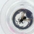  ( - HIRW_049_G11)  @11 [ ] by  Genome Research Ltd as Wellcome Sanger Institute Genome Research Limited operating as Wellcome Sanger Institute