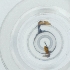  ( - HIRW_049_G3)  @11 [ ] by  Genome Research Ltd as Wellcome Sanger Institute Genome Research Limited operating as Wellcome Sanger Institute
