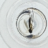  ( - HIRW_050_D9)  @11 [ ] by  Genome Research Ltd as Wellcome Sanger Institute Genome Research Limited operating as Wellcome Sanger Institute