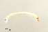  ( - HJ305)  @12 [ ] CreativeCommons  Attribution Non-Commercial Share-Alike (2019) Haijun Yu Tianjin Agricultural University