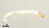  ( - HJ309)  @12 [ ] CreativeCommons  Attribution Non-Commercial Share-Alike (2019) Haijun Yu Tianjin Agricultural University