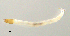  ( - HJ330)  @12 [ ] CreativeCommons  Attribution Non-Commercial Share-Alike (2019) Haijun Yu Tianjin Agricultural University