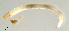  ( - HJ333)  @12 [ ] CreativeCommons  Attribution Non-Commercial Share-Alike (2019) Haijun Yu Tianjin Agricultural University