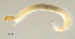  ( - HJ336)  @12 [ ] CreativeCommons  Attribution Non-Commercial Share-Alike (2019) Haijun Yu Tianjin Agricultural University