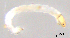  ( - HJ338)  @12 [ ] CreativeCommons  Attribution Non-Commercial Share-Alike (2019) Haijun Yu Tianjin Agricultural University