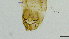  ( - HKU01)  @11 [ ] Copyright (2025) Mathew Stephen Seymour The University of Hong Kong