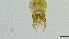  ( - HKU03)  @11 [ ] Copyright (2025) Mathew Stephen Seymour The University of Hong Kong