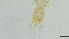  ( - HKU06)  @11 [ ] Copyright (2025) Mathew Stephen Seymour The University of Hong Kong