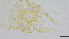  ( - HKU13)  @11 [ ] Copyright (2025) Mathew Stephen Seymour The University of Hong Kong