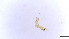  ( - HKU21)  @11 [ ] Copyright (2025) Mathew Stephen Seymour The University of Hong Kong