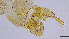  ( - HKU21)  @11 [ ] Copyright (2025) Mathew Stephen Seymour The University of Hong Kong