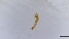  ( - HKU22)  @11 [ ] Copyright (2025) Mathew Stephen Seymour The University of Hong Kong